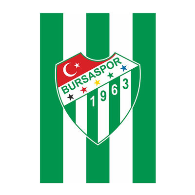 Bayrak Çubuklu Logo (150x225)