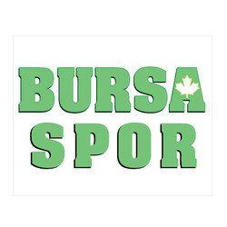 BURSASTORE - Sticker Bursaspor (10x8)