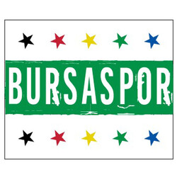 BURSASTORE - Sticker Bursaspor Yıldız (11,5x9,5)